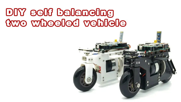 DIY self balancing two wheeled vehicle